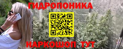 a pvp Заводоуковск